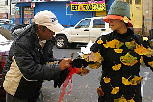 Ginkgo Messenger New York (photo MeiKuei Feu)