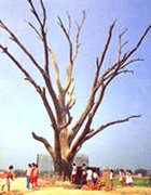 Dingzhou