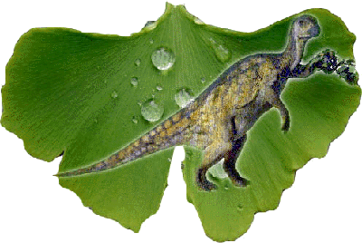 dino (photo Cor Kwant)