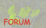 forum