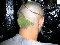 Ginkgo hair
