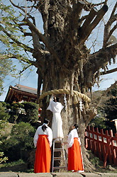 Kamakura