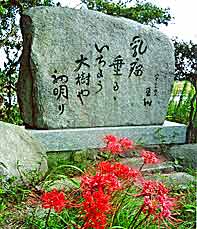chichi poem (photo A.Kato)