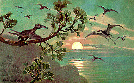Rhamphorhynchus