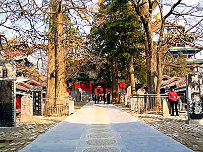 Shaolin Temple China