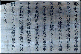 Plaque Shukkeien Ginkgo (photo Mandy Conti)