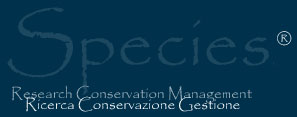 Species