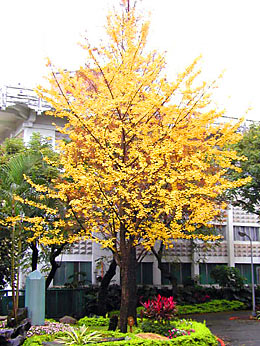 Taiwan (photo Liu)