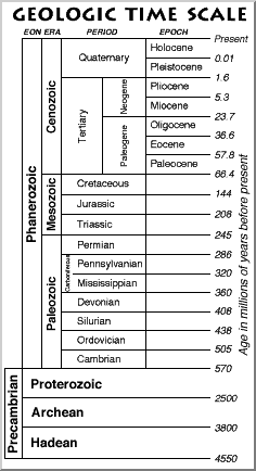 time line