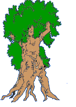male/female tree