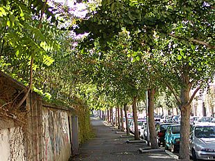 Via dei Lentuli, Rome (photo Simonne Verbist)